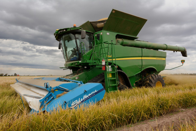 Обои картинки фото техника, комбайны, поле, комбайн