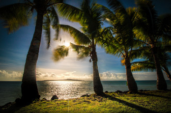 Картинка природа тропики рассвет