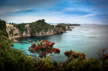 Картинка природа побережье море берег