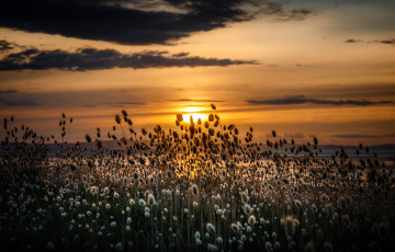 Картинка природа восходы закаты рассвет