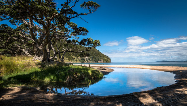 Обои картинки фото природа, побережье, берег, море