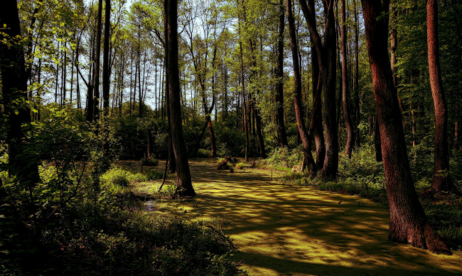 Обои картинки фото природа, дороги, тракт