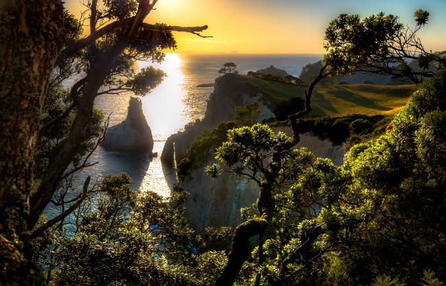 Обои картинки фото природа, побережье, берег, море