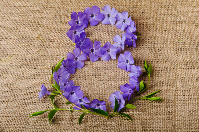 Обои картинки фото праздничные, международный женский день - 8 марта, vinca, дата, фон, барвинок, 8, марта, цифра, фиолетовые, женский, день, ткань, цветы