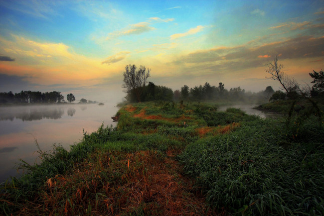 Обои картинки фото природа, реки, озера, река, лес