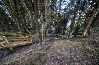 Картинка природа дороги простор