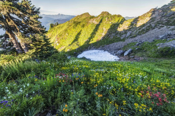 Картинка природа луга простор