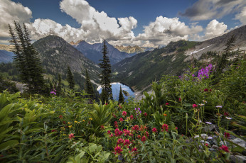 Картинка природа луга простор