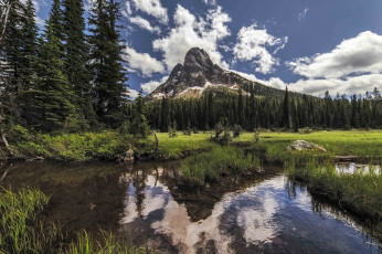 Картинка природа реки озера простор