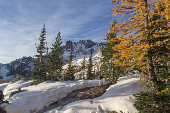 Картинка природа зима простор