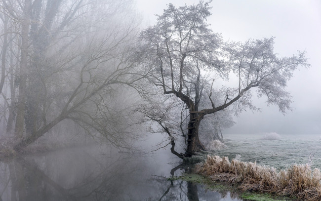 Обои картинки фото природа, реки, озера, туман, река