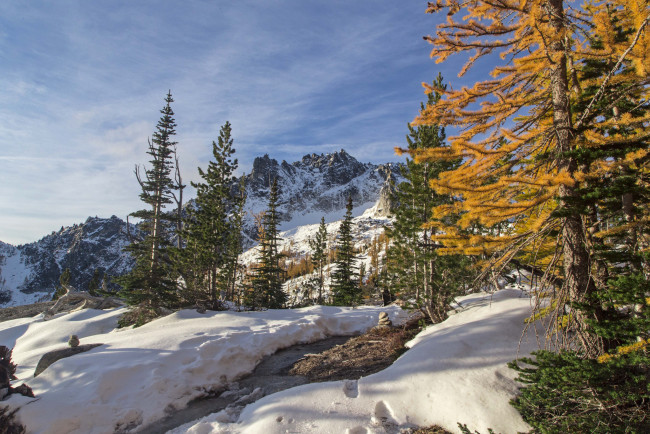 Обои картинки фото природа, зима, простор