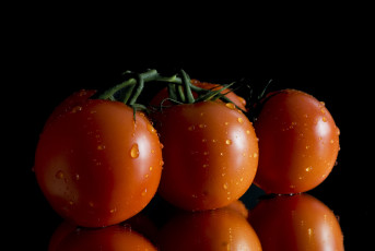Картинка еда помидоры снедь