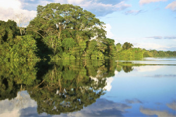 Картинка природа реки озера озеро деревья