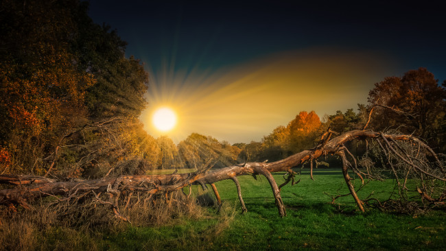 Обои картинки фото природа, восходы, закаты, простор