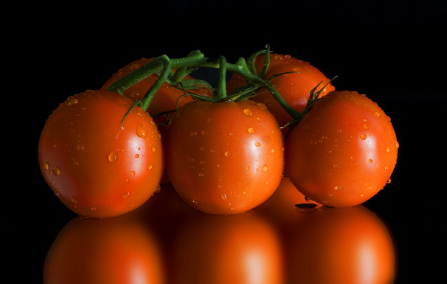Обои картинки фото еда, помидоры, снедь
