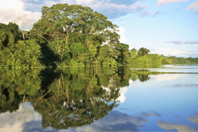 Обои картинки фото природа, реки, озера, озеро, деревья