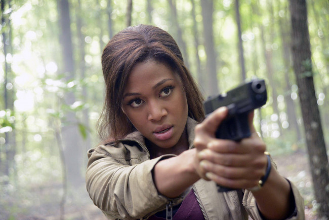 Обои картинки фото sleepy hollow, кино фильмы, sleepy hollow , сериал, nicole, beharie, sleepy, hollow, девушка, пистолет, оружие, актриса, мулатка, красотка, брюнетка, поза, взгляд, макияж