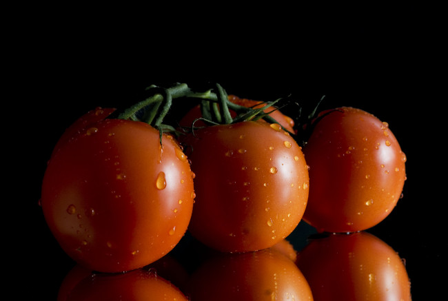 Обои картинки фото еда, помидоры, снедь
