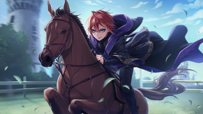Обои картинки фото twisted wonderland, аниме, парень, лошадь, всадник, барьер