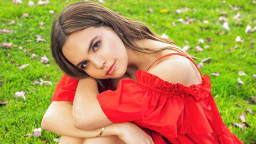 обоя девушки, bailee madison, шатенка, сарафан, лужайка