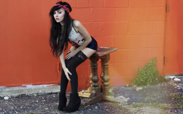 Картинка девушки -+брюнетки +шатенки брюнетка чулки