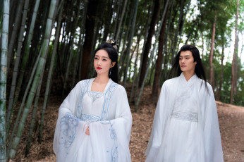 Картинка кино+фильмы divine+destiny пара лес бамбук