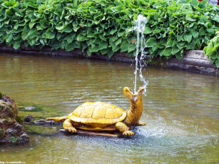 Картинка петергоф нижний парк лето 2005 города санкт петербург россия