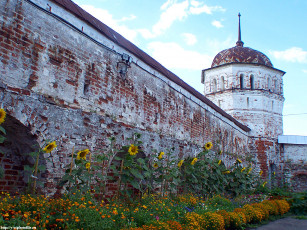 Картинка суздаль покровский монастырь река каменка города православные церкви монастыри