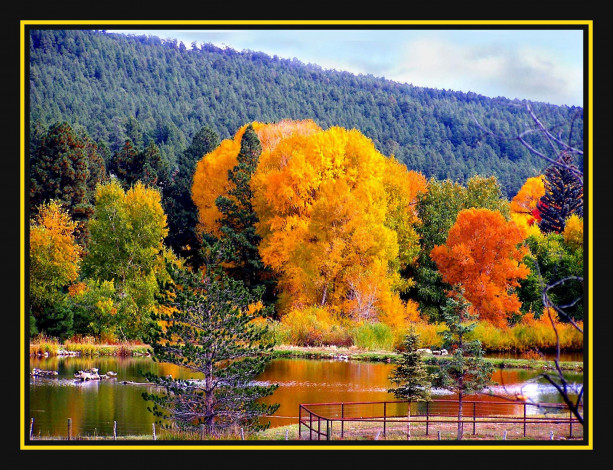 Обои картинки фото природа