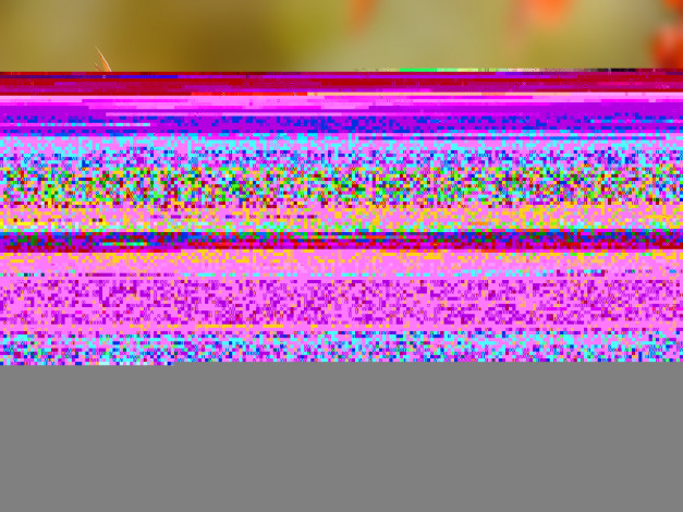 Обои картинки фото 