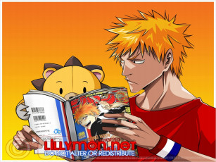 Картинка аниме bleach