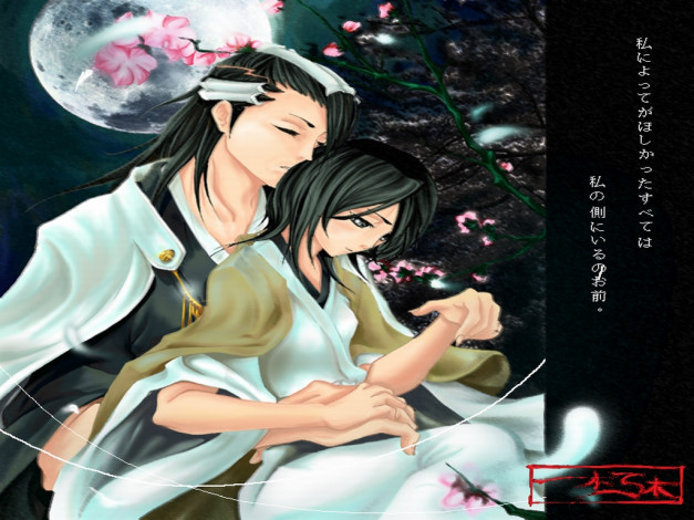 Обои картинки фото аниме, bleach