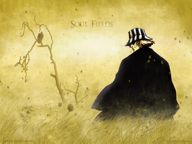Обои картинки фото soul, fields, аниме, bleach, kisuke, urahara