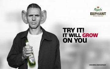 Картинка бренды