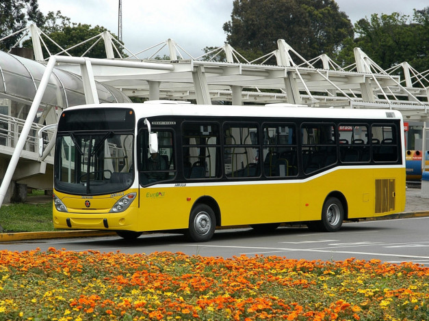 Обои картинки фото автомобили, автобусы