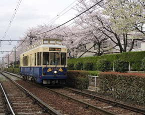 Картинка техника трамваи