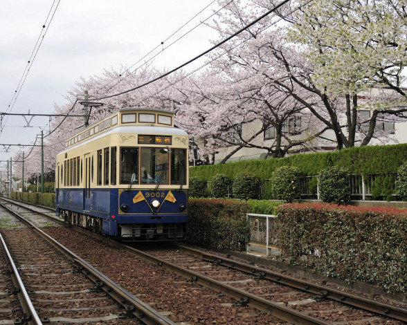 Обои картинки фото техника, трамваи