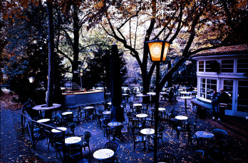 Картинка интерьер кафе рестораны отели stadtpark