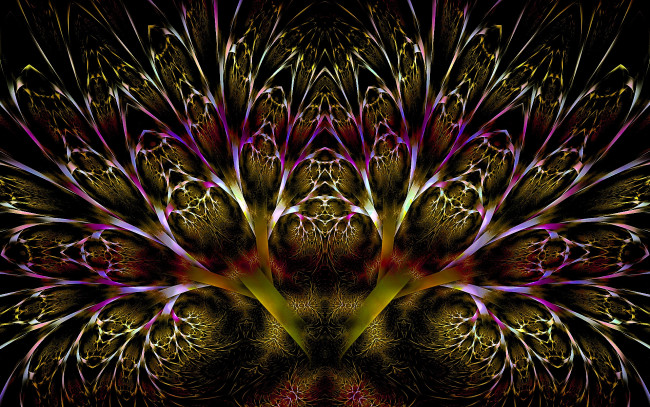 Обои картинки фото 3д, графика, fractal, фракталы, фон, цвета, узор