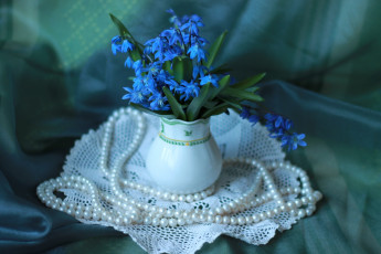 Картинка цветы подснежники +белоцветник +пролески ожерелье пролески