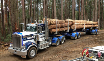 Картинка kenworth автомобили лесовоз