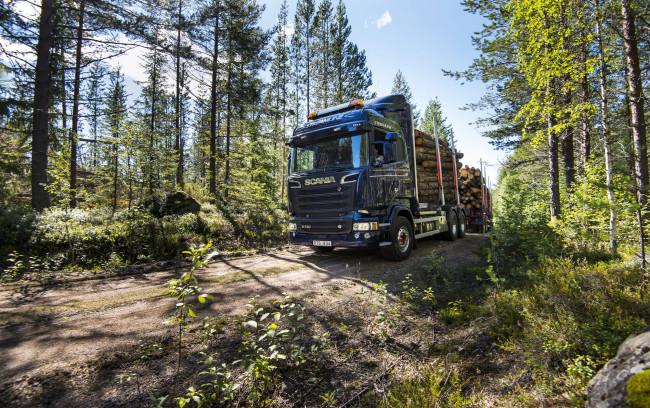 Обои картинки фото автомобили, scania, лесоповал, синий, скания