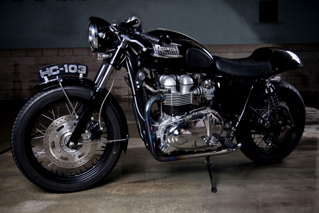 Обои картинки фото мотоциклы, triumph