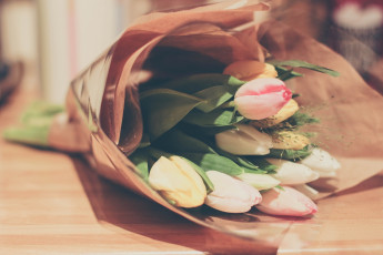 Картинка цветы тюльпаны букет