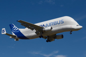 Картинка авиация грузовые+самолёты белуга