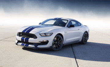 Картинка ford+mustang+shelby+gt350 автомобили mustang мустанг