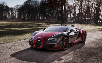 Картинка бугатти+вейрон+2015 автомобили bugatti бугатти вейрон 2015