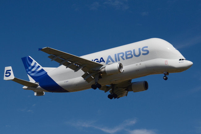 Обои картинки фото авиация, грузовые самолёты, белуга