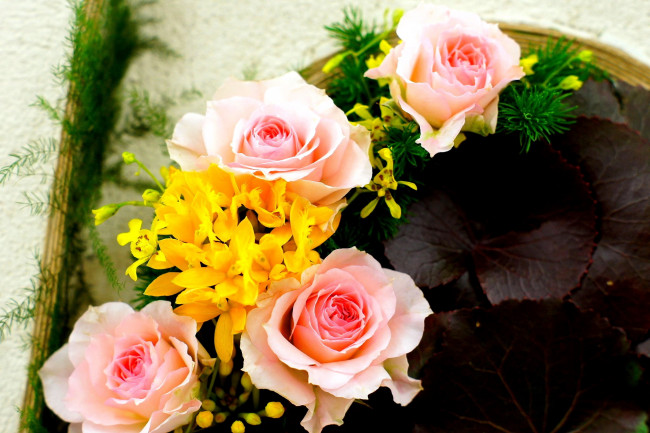 Обои картинки фото цветы, разные вместе, розы, орхидеи